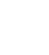 Wholesale